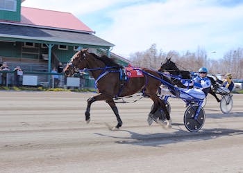David Lloyd George, left, with driver Keigan Madden, led all the way to defeat a field of six — including Rockinforreal, shown at right, and Jason MacNeil — at Northside Downs on Saturday. CONTRIBUTED/CHRIS ABBASS