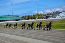 The David Dowling-driven Pep In My Step leads the field to the halfway mark of the opening race of the 2024 live meet at Red Shores at Summerside Raceway on May 20. Pep In My Step, owned and trained by Clair Sweet of O’Leary, won the race in 1:57.1. Jason Simmonds • Journal Pioneer