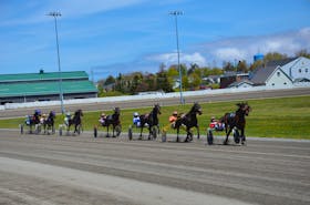 The David Dowling-driven Pep In My Step leads the field to the halfway mark of the opening race of the 2024 live meet at Red Shores at Summerside Raceway on May 20. Pep In My Step, owned and trained by Clair Sweet of O’Leary, won the race in 1:57.1. Jason Simmonds • Journal Pioneer