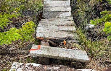 Damage like this on the East Coast Trail's Stiles Path isn't widespread across the 336 km of Avalon Peninsula trails, but it's becoming harder and more expensive to maintain.