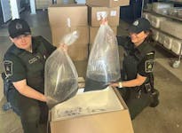 Fishery officers from DFO's Conservation and Protection Directorate show a sample of the 109 kilograms of elvers seized during an operation at the Toronto International Airport on May 15, 2024. - DFO handout