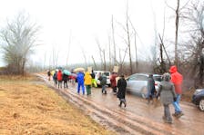 Protesters walk MacBeth Road in Elmfield in response to destructive foliage maintenance work done by the Department of Public Works on Dec. 20.