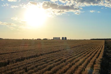 Grain silos are seen on the horizon near Moree, Australia, October 28, 2020. Picture taken October 28, 2020. 