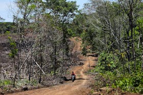A man rides a motorcycle on an illegal road made during the deforestation of the Yari plains, in Caqueta, Colombia March 2, 2021.