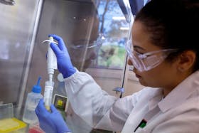 Talita de Lima Freitas, federal agricultural inspector, works on a sample to test for avian influenza virus at the Reference Laboratory of the World Organization for Animal Health in Campinas, Brazil April 25, 2023.