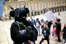 An animal rights activist holds a puppy while taking part in a demonstration demanding the approval of a law that prohibits bullfights, cockfights and events where animals are abused, in Bogota, Colombia, October 5, 2022.