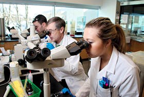 NSCC in Dartmouth will be expanding the number of medical laboratory technology program seats to 60 starting this September. - NSCC website