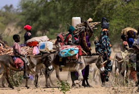Sudanese refugees who fled the violence in Sudan's Darfur region and newly arrived ride their donkeys looking for space to temporarily settle, near the border between Sudan and Chad in Goungour, Chad May 8, 2023.
