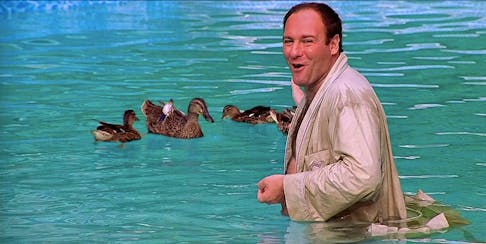 Tony Soprano (James Gandolfini) feeds the ducks in his pool in this scene from "The Sopranos." HBO Handout