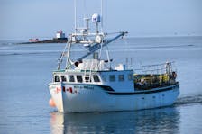 The Hit n’ Miss I steams into the Falls Point wharf in Woods Harbour with a load of traps aboard as the southwestern Nova Scotia commercial lobster fishery was coming to a close. Kathy Johnson