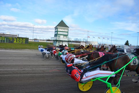 The horses wait for the wings of the starting gate to fold before a race at Red Shores Racetrack and Casino at the Charlottetown Driving Park on May 4. The 12-dash card marked the return of live harness racing to P.E.I. Jason Simmonds • The Guardian