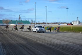 The horses line up behind the starting gate at Red Shores Racetrack and Casino at the Charlottetown Driving Park on May 4. The first live card of the spring meet featured 12 dashes. Jason Simmonds • The Guardian