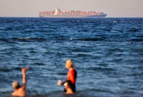 A container ship crosses the Gulf of Suez towards the Red Sea before entering the Suez Canal, in Al-'Ain al-Sokhna, in Suez, Egypt, July 30, 2023.