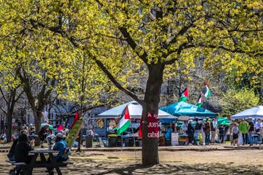Recent rains have led to the trees budding at McGill University near where the pro-Palestinian encampment is set up. 