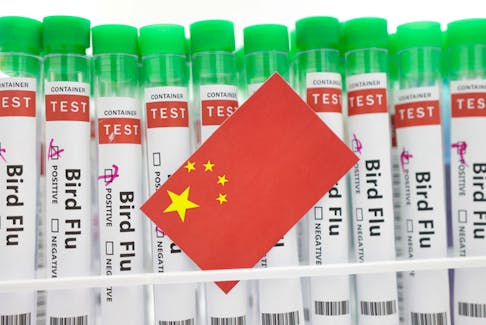 Test tubes labelled "Bird Flu" and a piece of paper in the colours of the Chinese national flag are seen in this illustration, January 14, 2023.