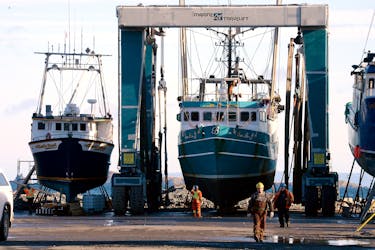 A fishing vessel is lifted onto dry land at Harbour Grace Ocean Enterprises.

Keith Gosse/The Telegram