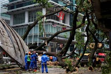 Rescuers stand where a tree fell across Jalan Sultan Ismail, one of Kuala Lumpur's busiest roads smashing 17 cars and disrupting monorail service in Kuala Lumpur, Malaysia May 7, 2024.
