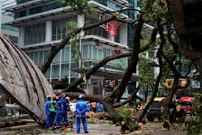 Rescuers stand where a tree fell across Jalan Sultan Ismail, one of Kuala Lumpur's busiest roads smashing 17 cars and disrupting monorail service in Kuala Lumpur, Malaysia May 7, 2024.