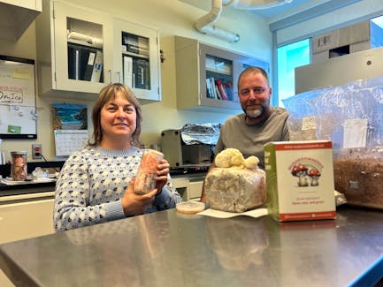 Rene Lombard and Jon Zuccolo have been running their business, Mushroom Nerds, selling mushroom grow kits since December. They manufacture the kits at a lab facility in Charlottetown. Thinh Nguyen • The Guardian