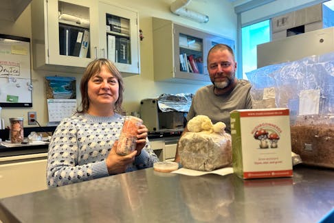 Rene Lombard and Jon Zuccolo have been running their business, Mushroom Nerds, selling mushroom grow kits since December. They manufacture the kits at a lab facility in Charlottetown. Thinh Nguyen • The Guardian