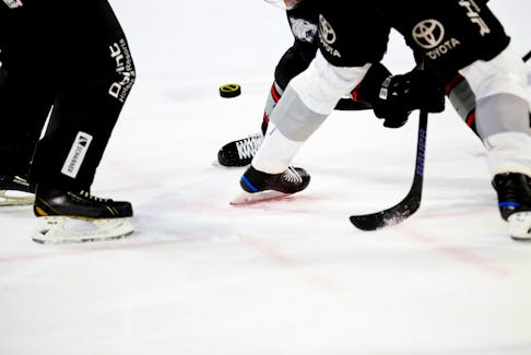 Hockey stock image.