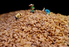 Wheat kernels are displayed with farmer miniatures in this illustration picture taken June 20, 2023.