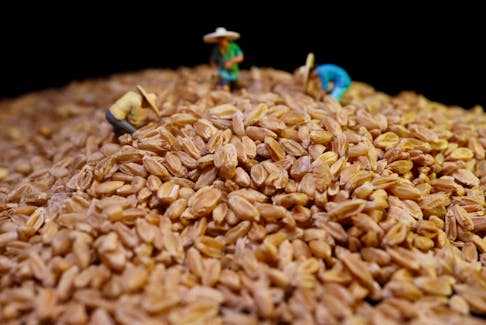 Wheat kernels are displayed with farmer miniatures in this illustration picture taken June 20, 2023.