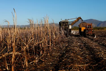 A harvester cuts sugar cane at a plantation in San Cristobal, Cuba, February 25, 2022.