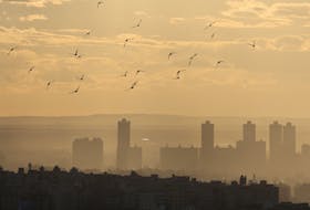 Birds fly during sunset with Cairo skyline visible in the background, during foggy cold weather, Egypt February 1, 2024.