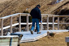 A man walks his two small dogs on a walkway in Ferryland Wednesday afternoon March 27, 2024.

Keith Gosse/The Telegram