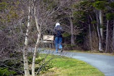 A person walks near the lower duck pond in the Power’s Pond area of Mount Pearl Wednesday afternoon.

Keith Gosse/The Telegram