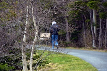 A person walks near the lower duck pond in the Power’s Pond area of Mount Pearl Wednesday afternoon.

Keith Gosse/The Telegram