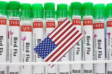 Test tubes labelled "Bird Flu" and a piece of paper in the colours of the U.S. national flag are seen in this picture illustration, January 14, 2023.