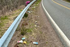 Roadside garbage lying in a ditch along Highway 236. People need to think more carefully and be more considerate with how they dispose of their trash. CONTRIBUTED