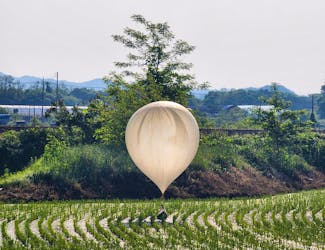 A balloon believed to have been sent by North Korea, carrying various objects including what appeared to be trash and excrement, is seen over a rice field at Cheorwon, South Korea, May 29, 2024. Yonhap via