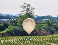 A balloon believed to have been sent by North Korea, carrying various objects including what appeared to be trash and excrement, is seen over a rice field at Cheorwon, South Korea, May 29, 2024. Yonhap via