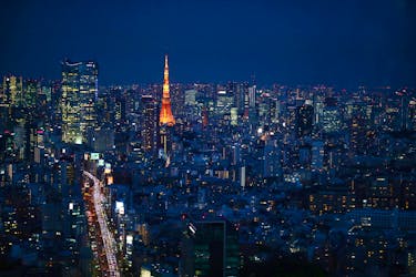 A general view with Tokyo Tower is pictured in Tokyo, Japan March 12, 2020.