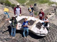 A group of youngsters found a rare juvenile Tyrannosaurus rex fossil in 2022 during a hike in North Dakota.