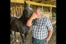 Kent Oakes has always been passionate about the horse, Igoddago, that he and his brother, Wayne, won the Governor’s Plate with in 2004. Kent and his son, Nicholas, drove to Woodstock, N.B., to race last fall and visited the horse at the farm of Owen Davies.