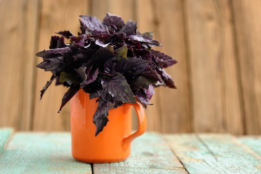 Try using a mug as a planter for an herb garden.