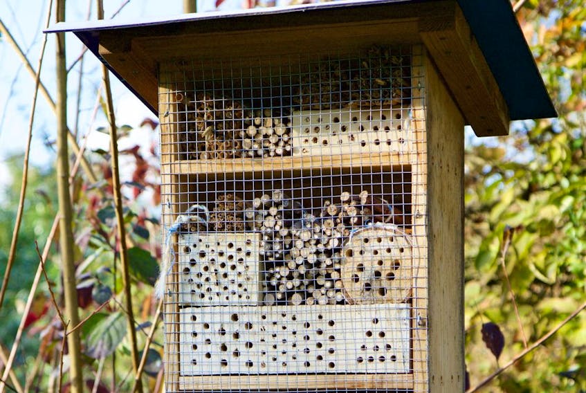 A good example of a bee house.