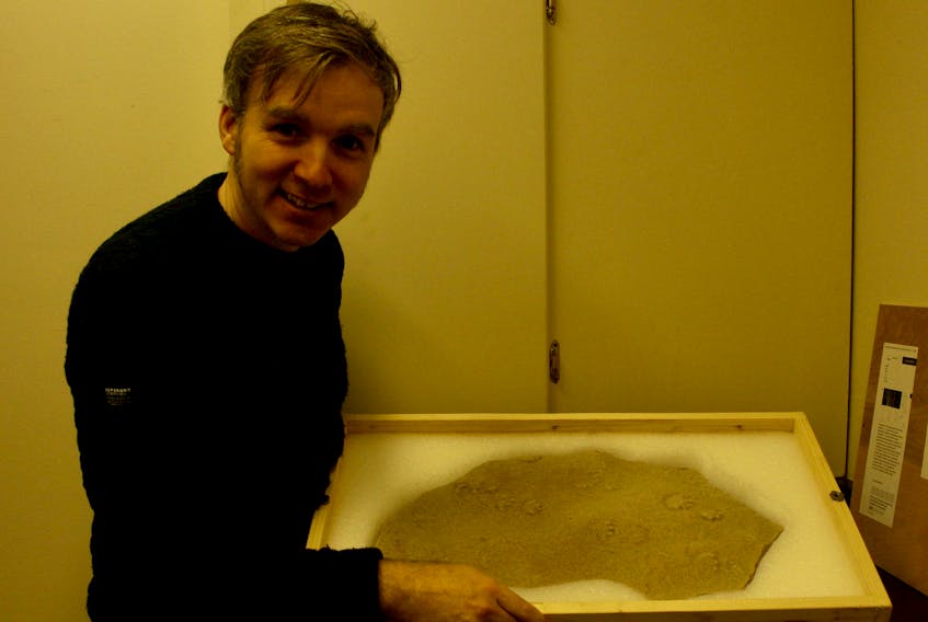 Matthew McRae, curator of history for the P.E.I. Museum and Heritage Foundation, smiles proudly as he holds the rare 300-million-year-old fossil on Jan. 8. The fossil, donated by Bob and Pat Sweet, was found in the Cumberland area over the summer and caused a stir when McRae posted a Twitter thread about it on Jan. 6. Michael Robar/The Guardian