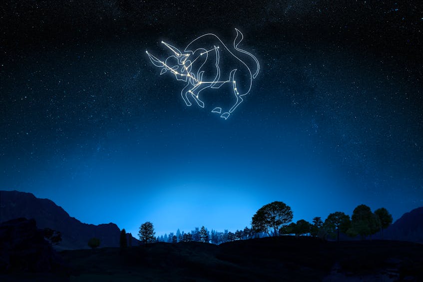 The constellation Taurus is prominent in the night sky at this time of year.
