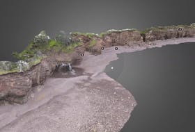 A screenshot of a 3D model of Margaretsville Beach that Dalhousie University senior instructor Mike Young made for his online science courses for the upcoming fall semester. Since June, Young has taken over 50,000 photos with a drone and a handheld camera with which he has produced the 3D models.