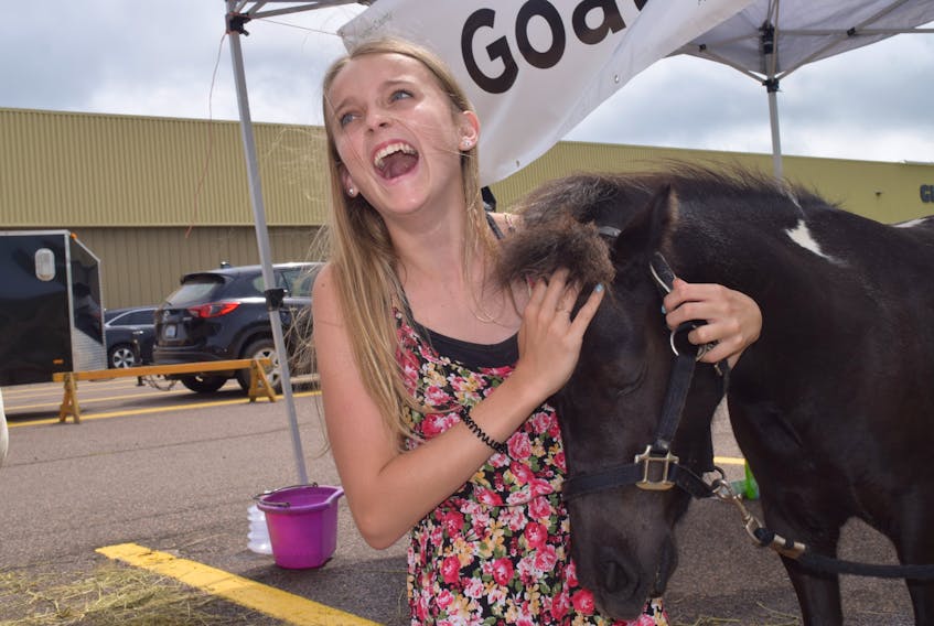 The wonders of a pony enthrall Talia Tremblay at the 4-H petting zoo outside the Giant Tiger store in Truro on Saturday afternoon. Children and youths like her met and befriended dogs, ponies, roosters and goats. The 4-H club is keen to promote its activities that build respect for nature and life skills its members can use later in the workforce.