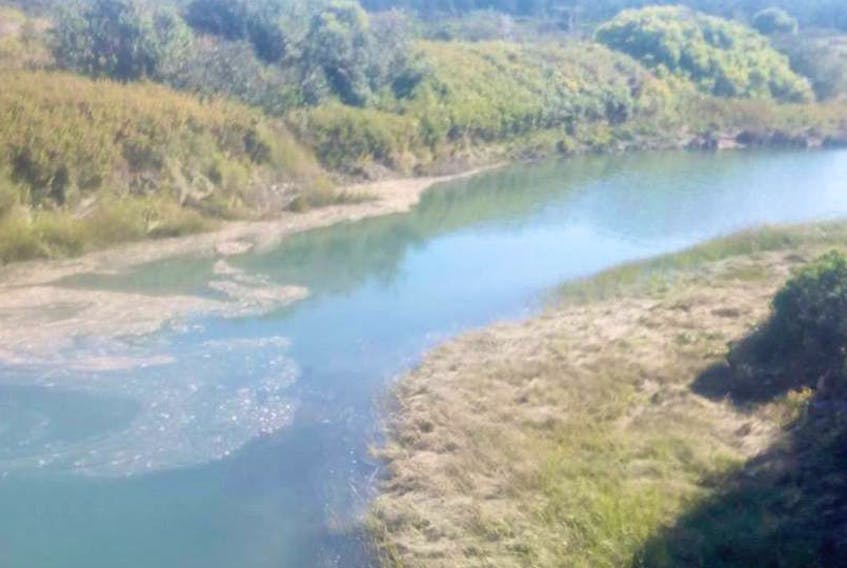 Residents blaming Port Maitland sewage treatment plant for harbour/beach pollution; Environment department officers have found no signs of (effluent) release in water