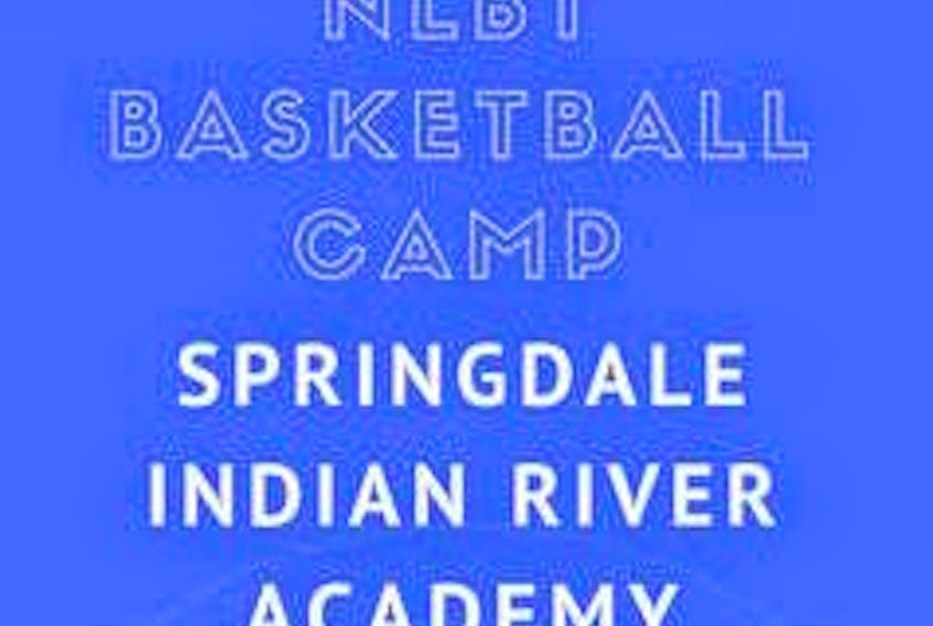 Next Level Basketball Training (NLBT) experience is coming to Springdale for the first time.