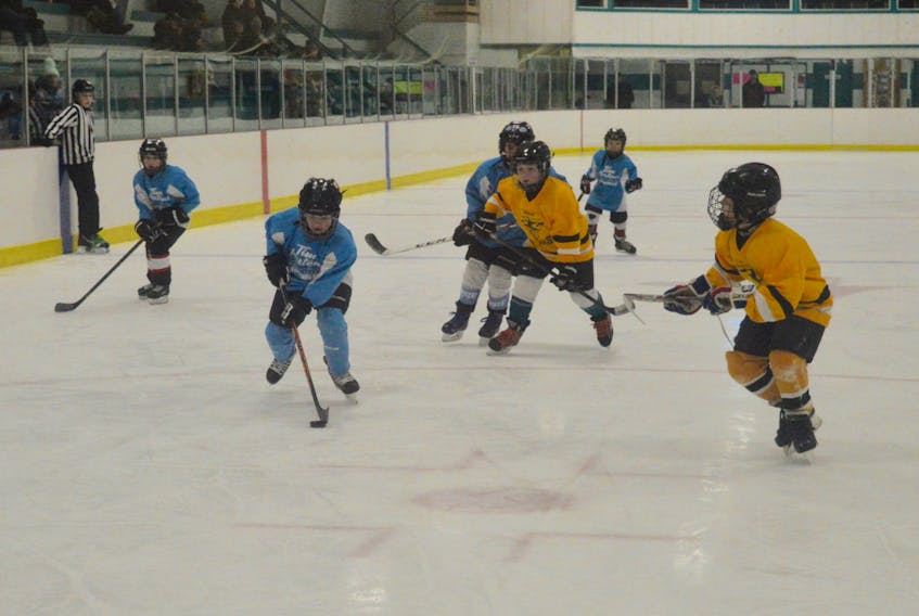 Nate Pheifer, left, of the New Waterford Sharks prepares to pressure the puck carrier from the Glace Bay Miners during novice hockey action at the New Waterford and District Community, Saturday morning. The Miners won the game, however the score was not available.