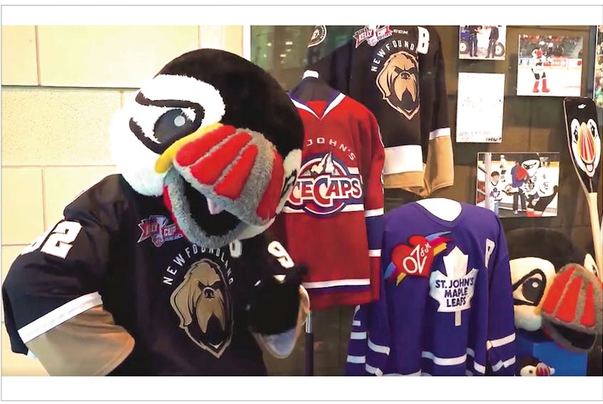 Buddy The Puffin checks out the exhibit dedicated to his 27-year-history as a professional hockey and basketball mascot at The Rooms in St. John's Wednesday. "Three Cheers to Buddy the Puffin!" will be on display until Jan. 12. — Screen capture/Newfoundland Growlers