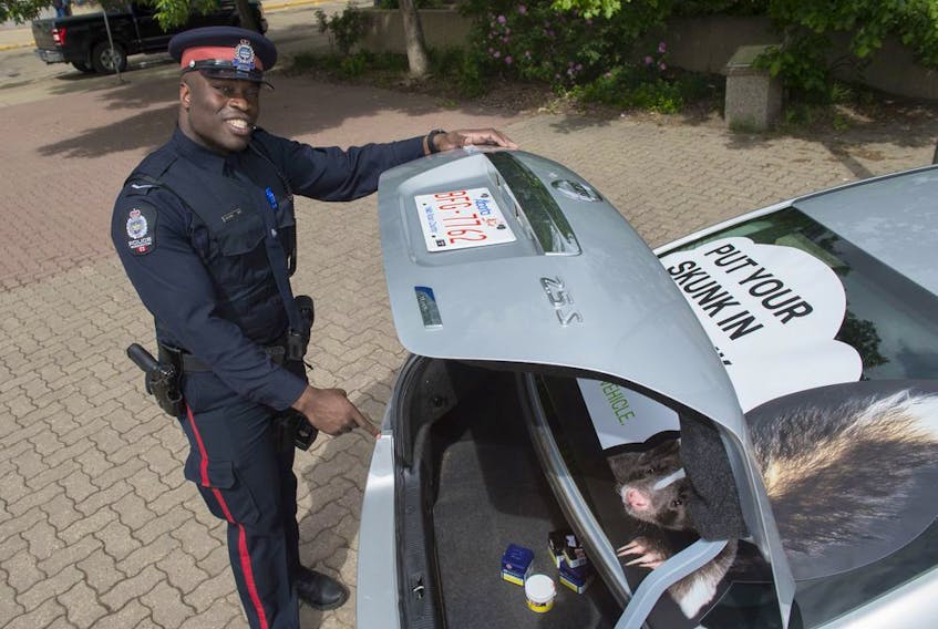 Constable Dexx Williams, EPS Cannabis Compliance Officer, launched a summer cannabis campaign to remind Edmontonians to keep their cannabis out of reach in their vehicles on June 18, 2019.   Photo by Shaughn Butts / Postmedia